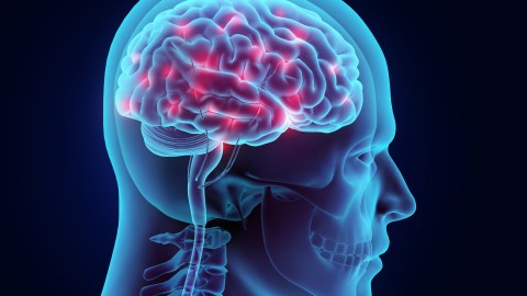 The causes of OCD are brain-based but not confirmed.