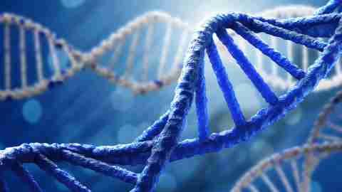 Harmonyx Releases Genetic Test for ADHD Medication