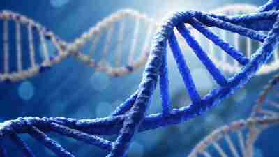 Harmonyx Releases Genetic Test for ADHD Medication